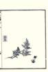 photo35_small.jpg