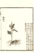 photo3_small.jpg