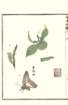 photo41_small.jpg