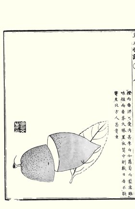 photo42.jpg