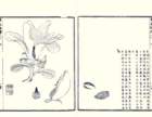 photo44_small.jpg