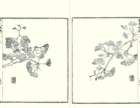 photo46_small.jpg