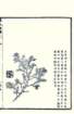 photo47_small.jpg