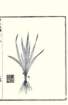 photo8_small.jpg