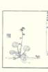 photo9_small.jpg