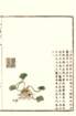 photo_small.jpg