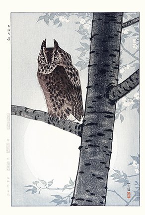 photo21.jpg