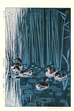 photo22.jpg