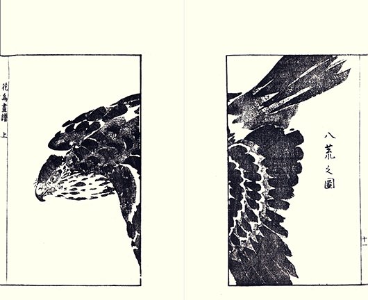 photo15.jpg