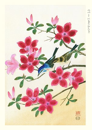 photo20.jpg