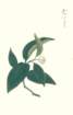 photo15_small.jpg