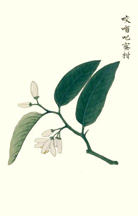 photo20.jpg
