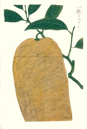 photo22.jpg