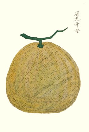 photo23.jpg