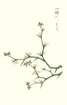 photo33_small.jpg