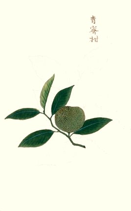 photo7.jpg