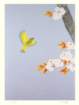photo102_small.jpg
