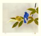 photo129_small.jpg