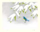 photo131_small.jpg