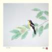 photo171_small.jpg