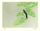 photo173_small.jpg