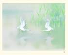 photo192_small.jpg