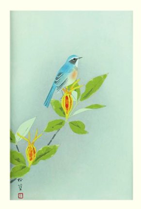 photo44.jpg