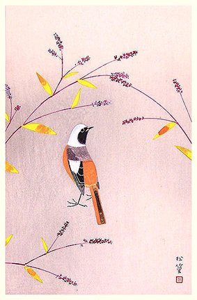 photo46.jpg