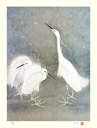 photo6.jpg