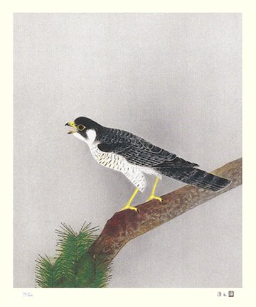 photo91.jpg
