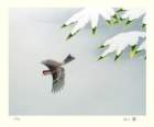 photo94_small.jpg