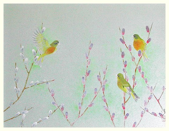 photo97.jpg