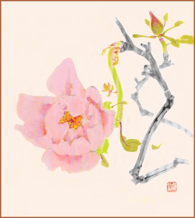 photo32.jpg