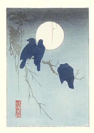 photo21.jpg
