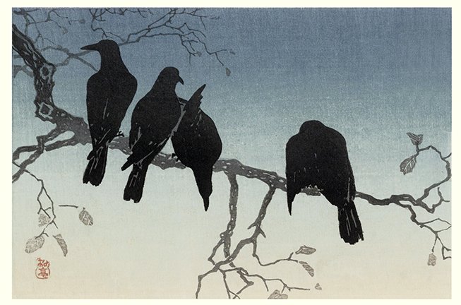 photo22.jpg