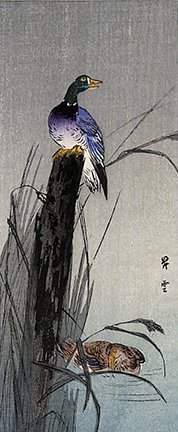 photo14.jpg