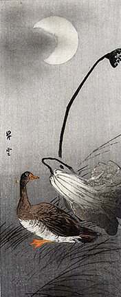 photo17.jpg