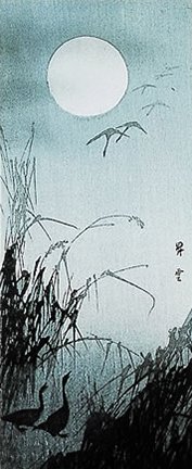 photo20.jpg