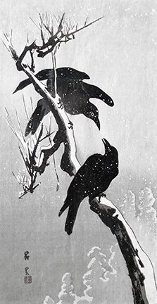 photo41.jpg