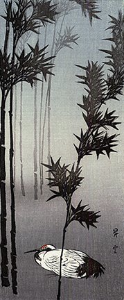 photo43.jpg