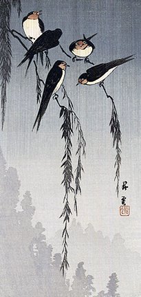 photo45.jpg