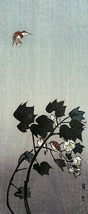 photo47.jpg