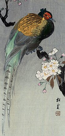 photo53.jpg
