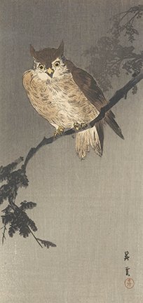 photo64.jpg