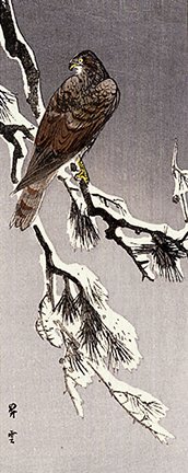 photo7.jpg