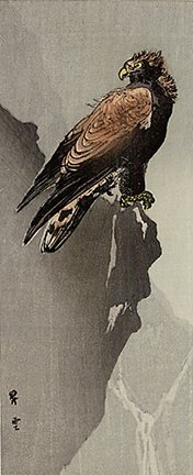 photo8.jpg