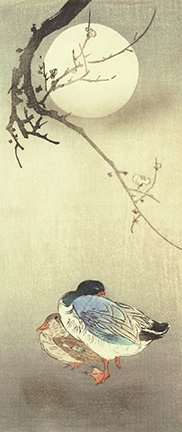 photo12.jpg