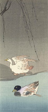 photo13.jpg