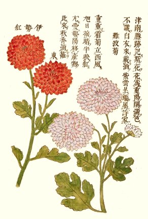 photo19.jpg