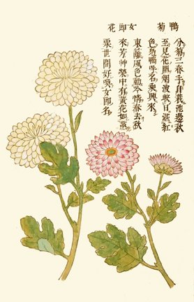 photo23.jpg